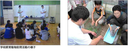学校飼育動物訪問活動の様子